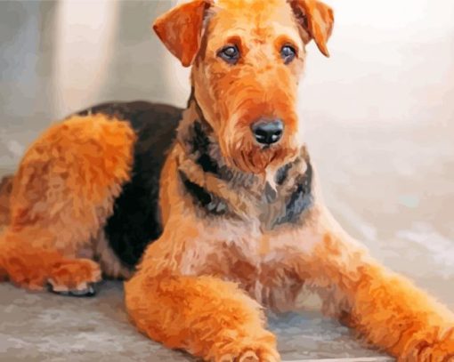 Brown Dog Airedale Terrier paint by number