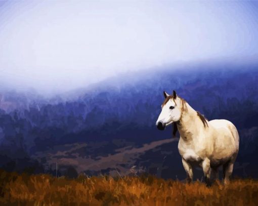 Brumby In The Mountains paint by number