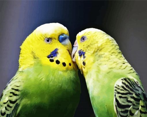 Budgerigars In Love paint by numbers