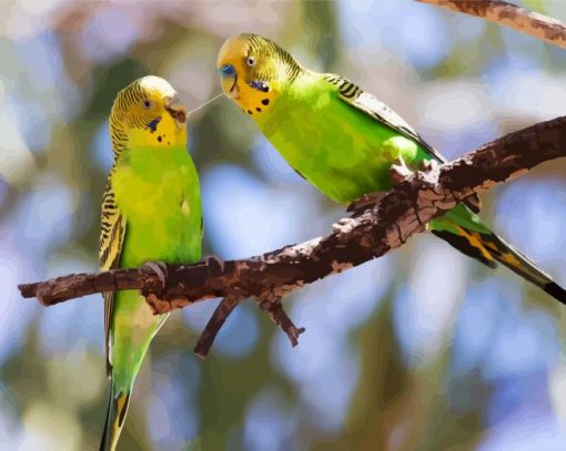 Budgerigars On A Branch paint by numbers