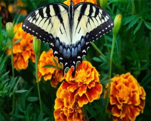 Butterfly On Marigolds paint by numbers