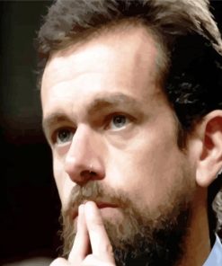 Ceo Of Twitter Jack Patrick Dorsy paint by numbers