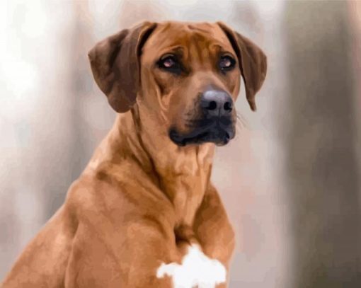 Closeup Rhodesian Ridgeback paint by numbers