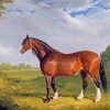 Clydesdale Stallion paint by number