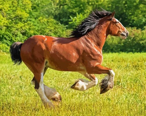 Clydesdale Horse Running paint by number