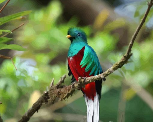 Colorful Quetzal Bird paint by numbers