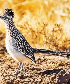 Cool Roadrunner Bird paint by number