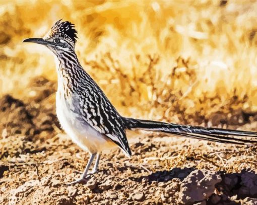 Cool Roadrunner Bird paint by number