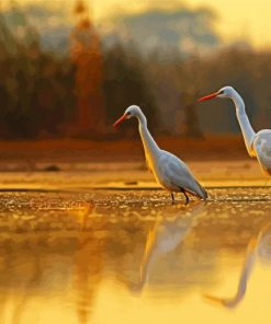 Cute Egrets paint by number