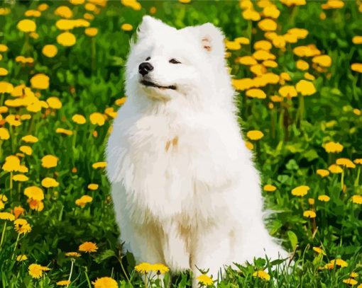 Cute Samoyed paint by numbers