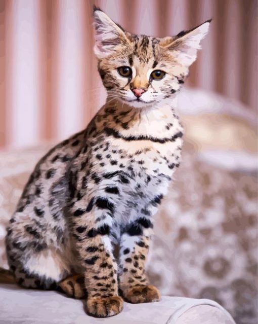 Cute Savannah Cat Animal paint by number