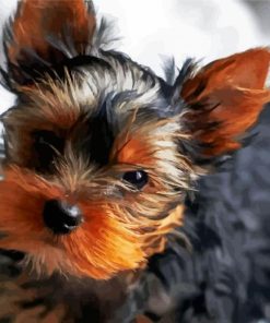 Cute Little Yorkshire Terrier paint by numbers