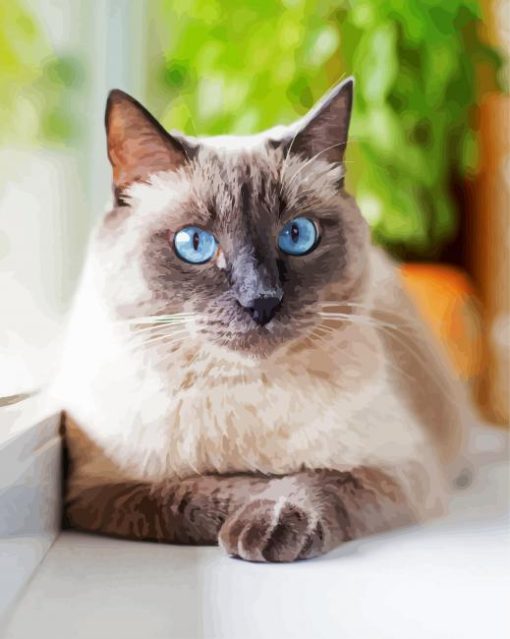 Cute Siamese paint by number