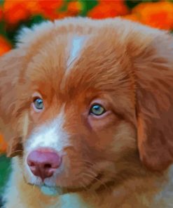 Cute Toller Puppy paint by number