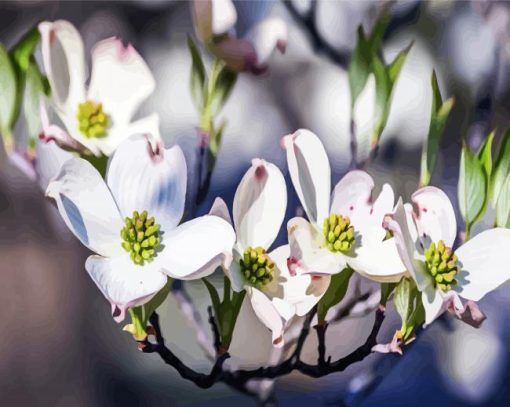 Dogwood Tree Branch paint by numbers