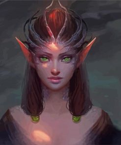 Elf Lady paint by numbers