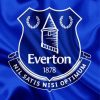 Everton Football Club Logo paint by numbers