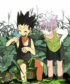 Gon Freecss And Killua paint by numbers