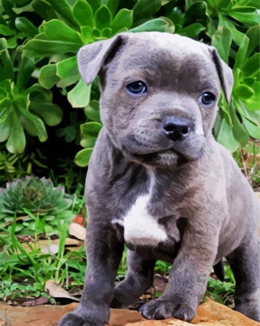 Grey Staffy paint by numbers