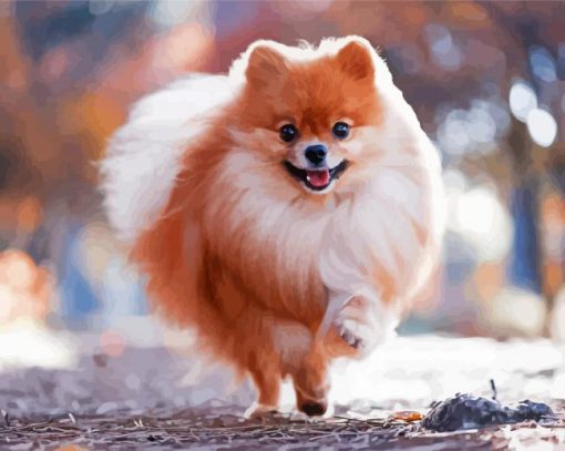 Happy Pomeranian paint by number