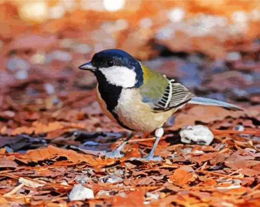 Japanese Tit Parus paint by numbers