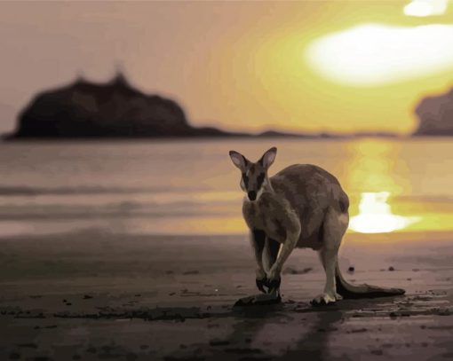 Kangaroo In Queensland Beach At Sunset paint by number