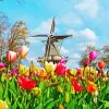 Keukenhof Netherlands Landscape paint by numbers