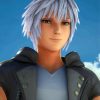 Kingdom Hearts Game Riku paint by number