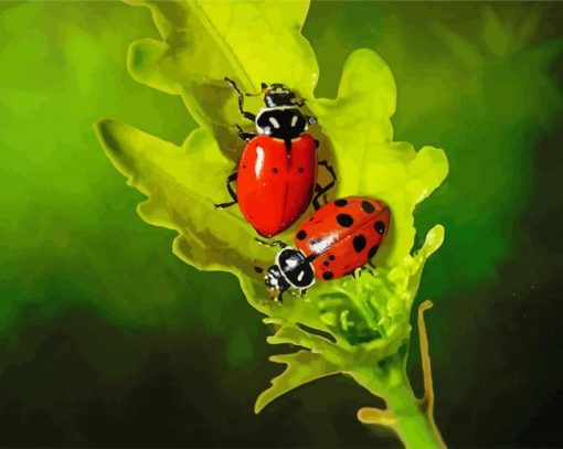 Ladybugs On A Leaf paint by numbers