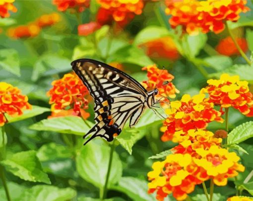 Lantana And Butterfly paint by number