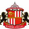 Logo Sunderland AFC paint by number