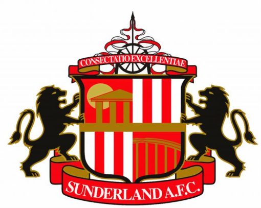 Logo Sunderland AFC paint by number