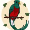 Long Tailed Quetzal Art paint by number