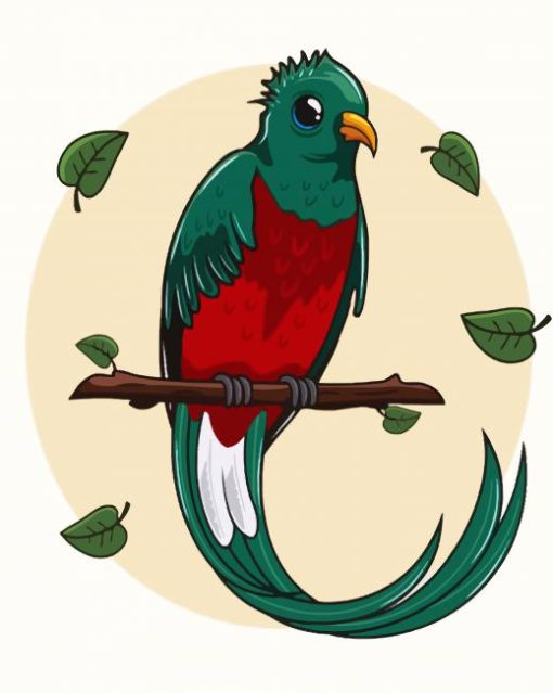 Long Tailed Quetzal Art paint by number