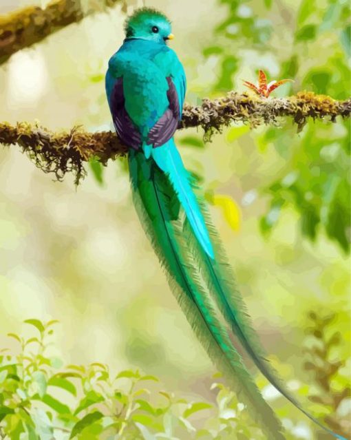 Long Tailed Quetzal paint by number