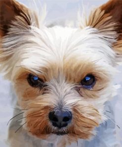 Mad Yorkie paint by number