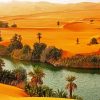 Oasis Desert paint by number