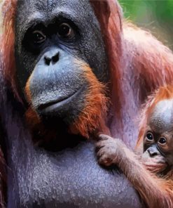 Orangutan And Baby Monkey paint by number