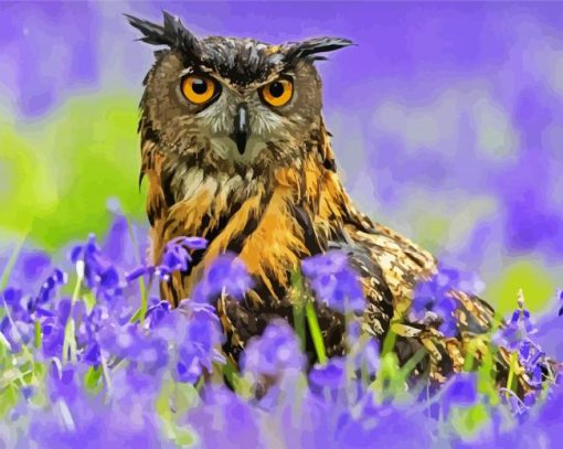 Owl Bird paint by numbers