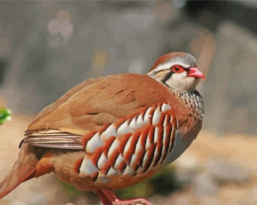 Partridge Bird paint by number