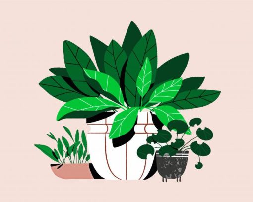 Plants Illustration paint by numbers