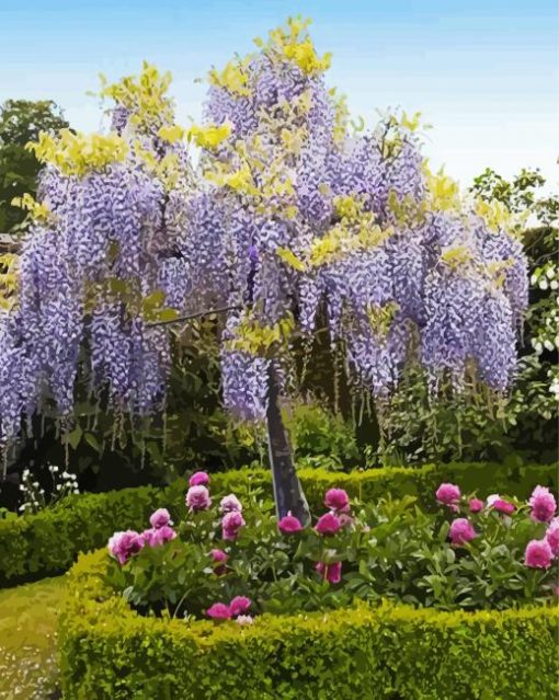 Purple Wisteria Tree paint by number