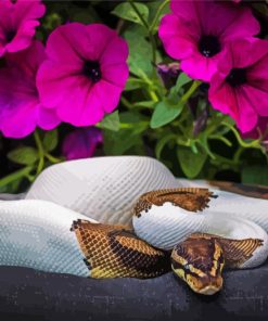 Python Snake And Petunia Flowers paint by number