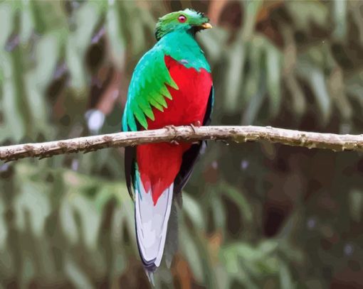 Red Eyes Quetzal paint by number