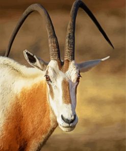 Saharian Oryx paint by numbers