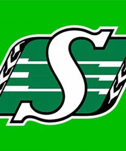 Saskatchewan Roughriders Logo paint by number