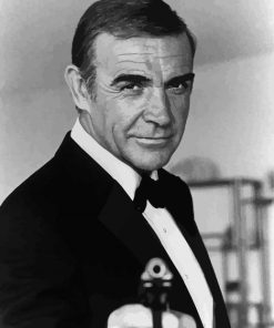 Sean Connery James Bond paint by number