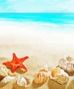 Seashells Starfish Summer paint by number