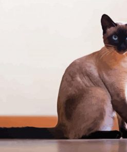 Siamese Cat paint by number