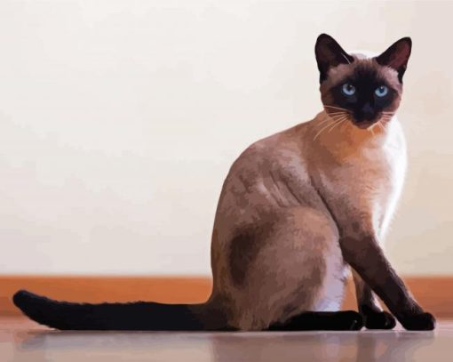 Siamese Cat paint by number